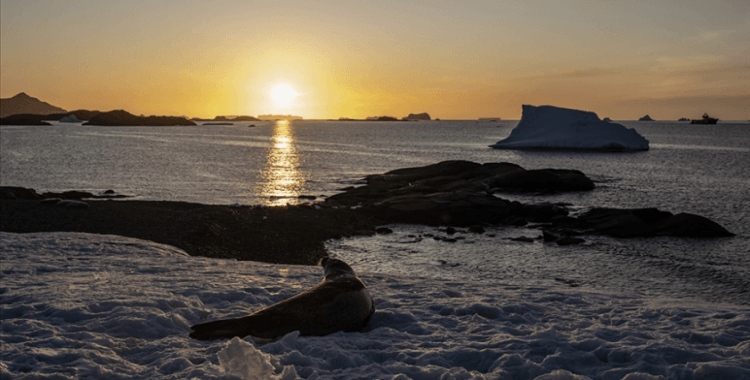 Antarktika'da araştırmacıların şort giymesine sebep olan sıcaklıklara ilişkin araştırma yayımlandı