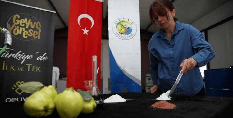 Sakarya'da atık ayvadan pektin, selüloz ve hemiselüloz üretiliyor