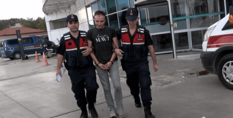 Silahla 3 büyükbaş hayvanı telef eden şahıs tutuklandı