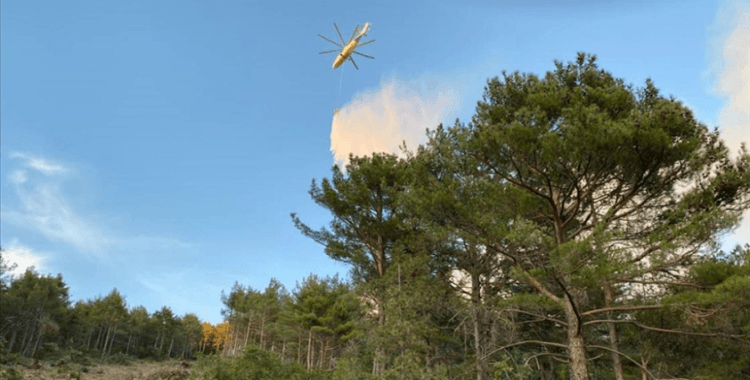 Hatay'da çıkan orman yangınına müdahale ediliyor