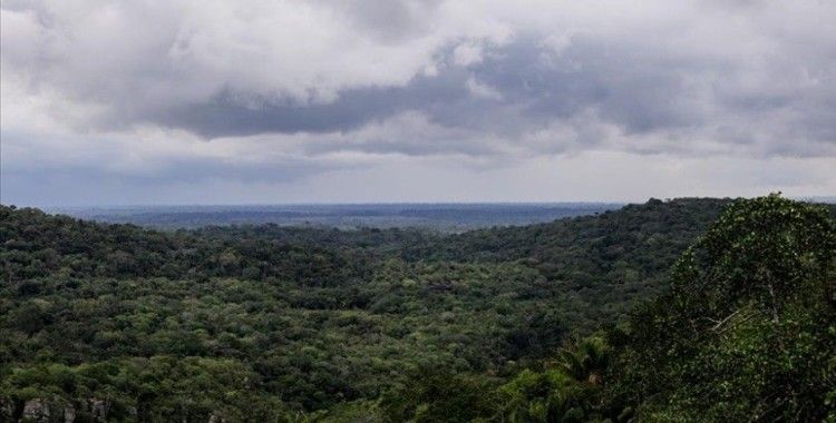 Brezilya Amazonlarındaki kuraklık tehlikesi 500 bin kişiyi olumsuz etkileyebilir