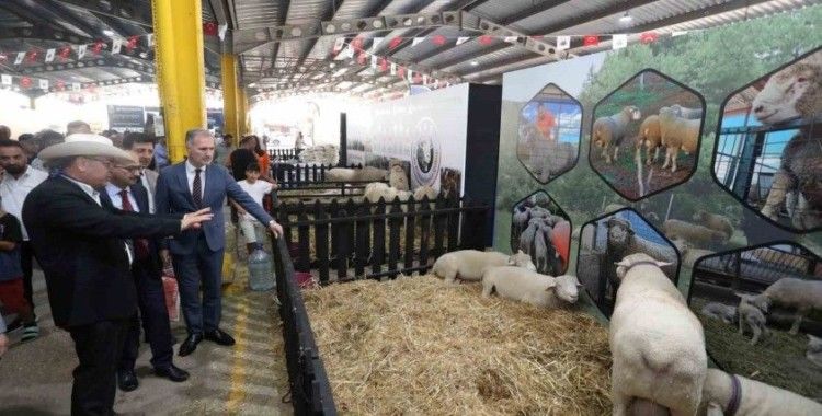 3. Küçükbaş Hayvancılık Festivali başladı
