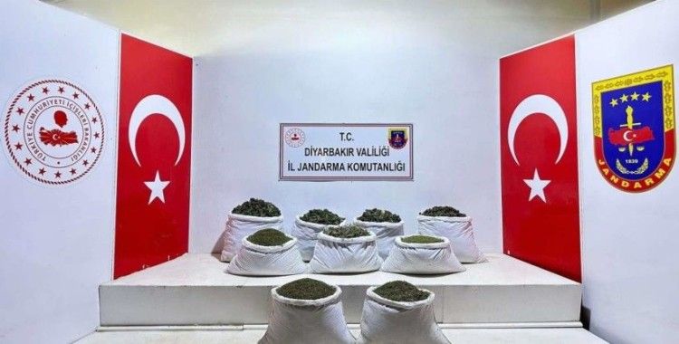 Diyarbakır'da 121 kilo esrar, 350 bin kök skunk ve kenevir ele geçirildi