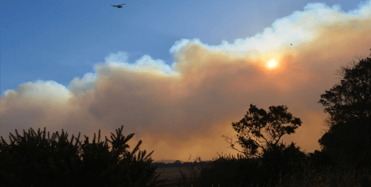 Avustralya'nın Yeni Güney Galler eyaletinde dün 85 yangın çıktı
