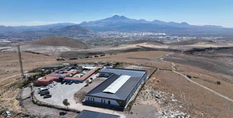 Başkan Büyükkılıç, Yeni ve Modern Kedi Köpek Evi’nde incelemelerde bulundu
