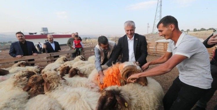 Tahmazoğlu “Hayvancılığa desteğimiz sürecek”
