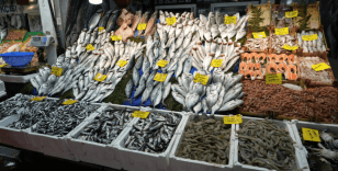 Balık tezgahlarında hamsi bolluğu yaşanıyor, fiyatlar geriledi