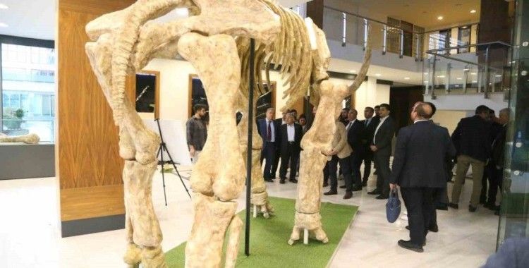 7,5 milyonluk fosil faunası sergilenecek
