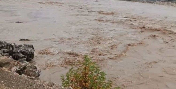 Aşırı yağış sonrası Dipni çayı coştu

