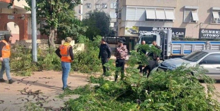 Büyükşehir ekiplerinin fırtına mesaisi
