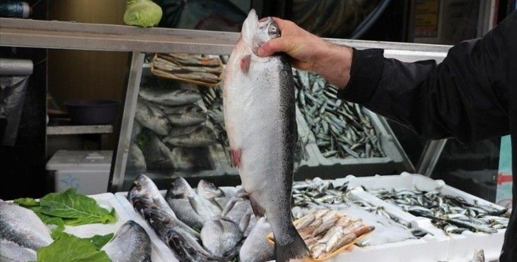 Doğu Karadeniz'den 10 ayda 133,2 milyon dolarlık Türk somonu ihraç edildi