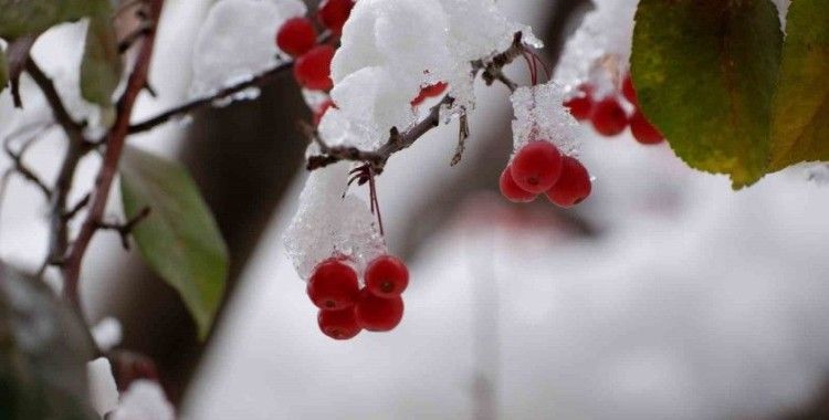 Meteorolojiden fırtına uyarısı
