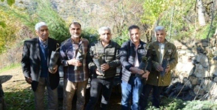 Üreticilere fidan desteği