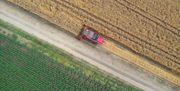 Tarımsal amaçlı örgütler derecelendirilecek