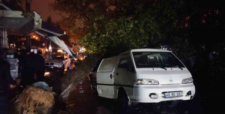 Üzerine ağaç düşen aracın sürücüsü yara almadan kurtuldu
