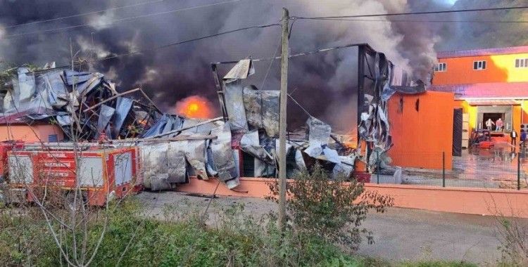 Giresun’da balık tesisinde yangın
