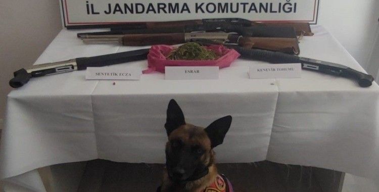 Jandarma baskın yaptığı evde 155 gram esrar ve 2 ruhsatsız av tüfeği ele geçirdi
