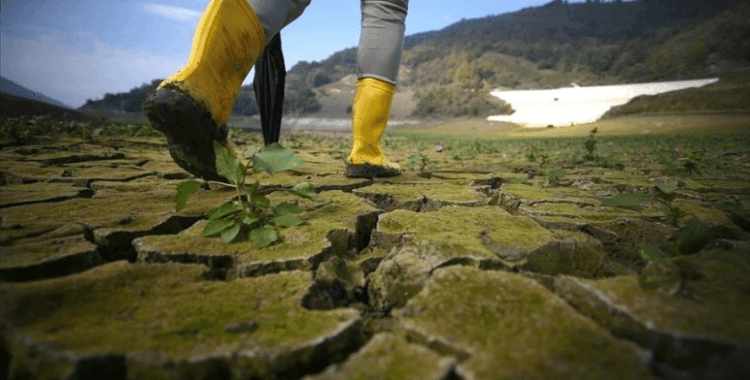 BM: Tarım-gıda sektörü, iklim değişikliği nedeniyle artan bir tehditle karşı karşıya