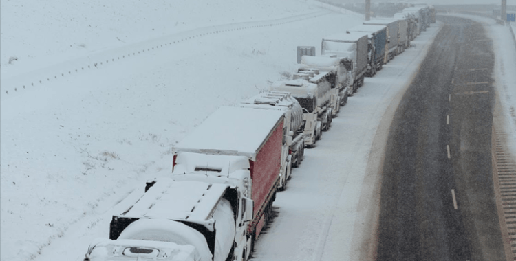 Polonya-Ukrayna sınırında kamyonlar nakliyecilerinin protestoları nedeniyle yaklaşık 10 gün bekliyor