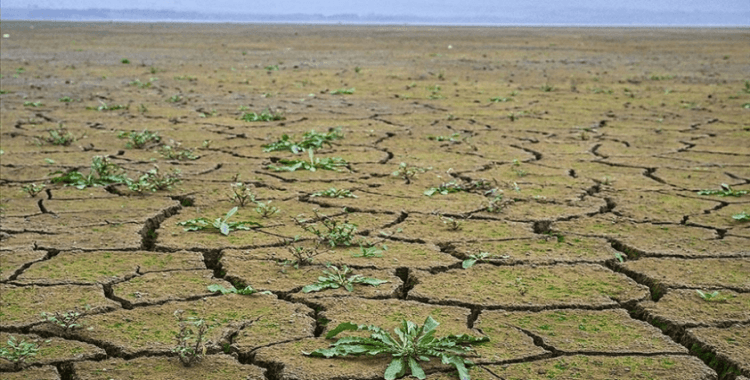 İklim hedeflerine ulaşmanın maliyeti artıyor