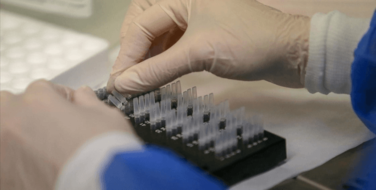 ABD'li genetik araştırma şirketi, yaklaşık 6,9 milyon kullanıcısının bilgilerinin çalındığını açıkladı