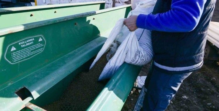 Çiftçinin yüzünü güldürecek ekim
