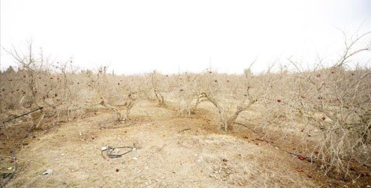 BM açlığı bitirmek için 'küresel yol haritası' sürecini başlattı