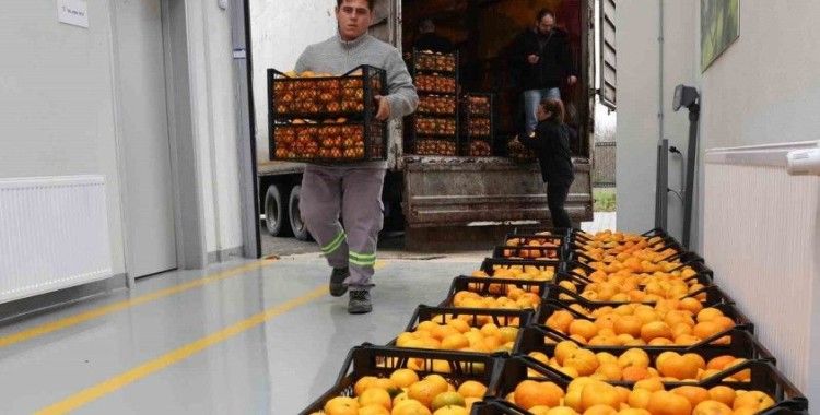 Hatay’ın mandalinasına Nilüfer desteği
