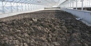 Manisa’da 35 bin ton arıtma çamuru bertaraf edildi
