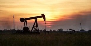 Suudi Arabistan, Cezayir ve Kuveyt, petrol üretiminde 3 ay daha 'gönüllü kesinti' yapacak