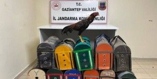 Gaziantep'te horoz dövüştüren 26 şahıs suçüstü yakalandı
