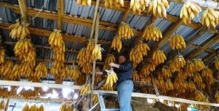 Hisarcıklı çiftçi mısırları tavana asarak muhafaza ediyor

