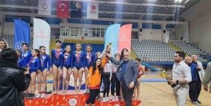 Artistik jimnastik il şampiyonluğu tamamlandı

