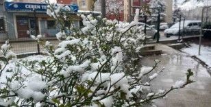 Eskişehir kent merkezinde kar yağışı etkili oldu
