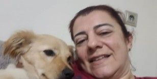 Aydın’daki köpek eğitmeni mağdurlarının sayısı artmaya başladı
