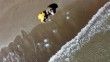Akdeniz kıyılarında yoğunlaşan göçmen denizanası, balıkçılığı olumsuz etkiliyor