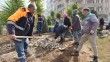 Burhaniye’de Belediye ekipleri bahar mesaisine başladı
