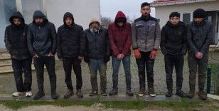 Edirne’de 8 düzensiz kaçak göçmen yakalandı

