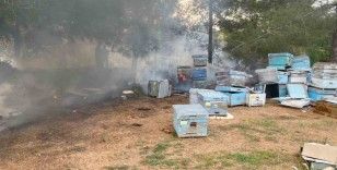 Datça’daki orman yangınında arı kovanları zarar gördü
