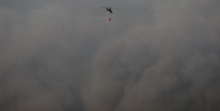 Tayland'daki orman yangınları hava kirliliğini tehlikeli seviyeye çıkardı