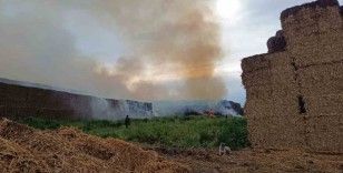 Adana’da saman balyalarının bulunduğu alanda yangın çıktı
