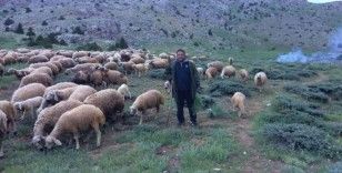 Mesaide müdür, tatilde çoban
