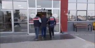 Osmaniye'de jandarmadan terör operasyonu: 1 tutuklama