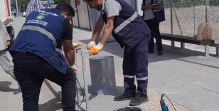 Diyarbakır’da temizlik kampanyası devam ediyor

