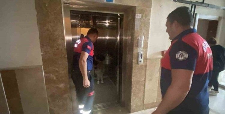 Asansörde mahsur kalan anne ve çocuğu kurtarıldı
