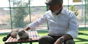 Kayseri’de ilk olan Küçük Dostlar Kedi Kasabası’na bir yılda rekor ziyaret
