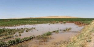 Şanlıurfa’da tarımsal sulamada elektrik tüketimi 3’e katlandı
