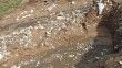 Elazığ’da asfalt yüklü tanker devrildi: 1 yaralı
