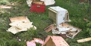 Ayılar 20 arı kovanını parçaladı
