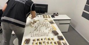 İstanbul Havalimanı'nda kaçakçılık operasyonu: ABD'li müze müdürü tarantula ve akrep kaçakçılığı yaparken yakalandı